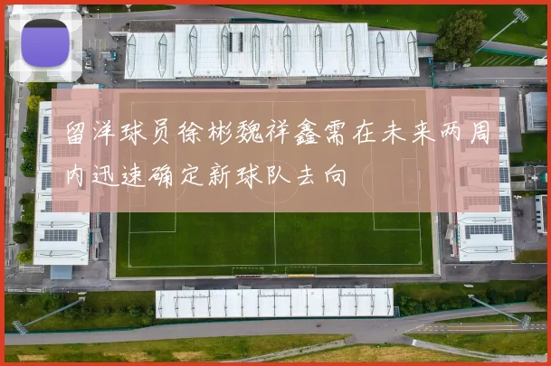 留洋球员徐彬魏祥鑫需在未来两周内迅速确定新球队去向